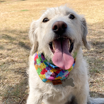 Gummy Bears Bandana