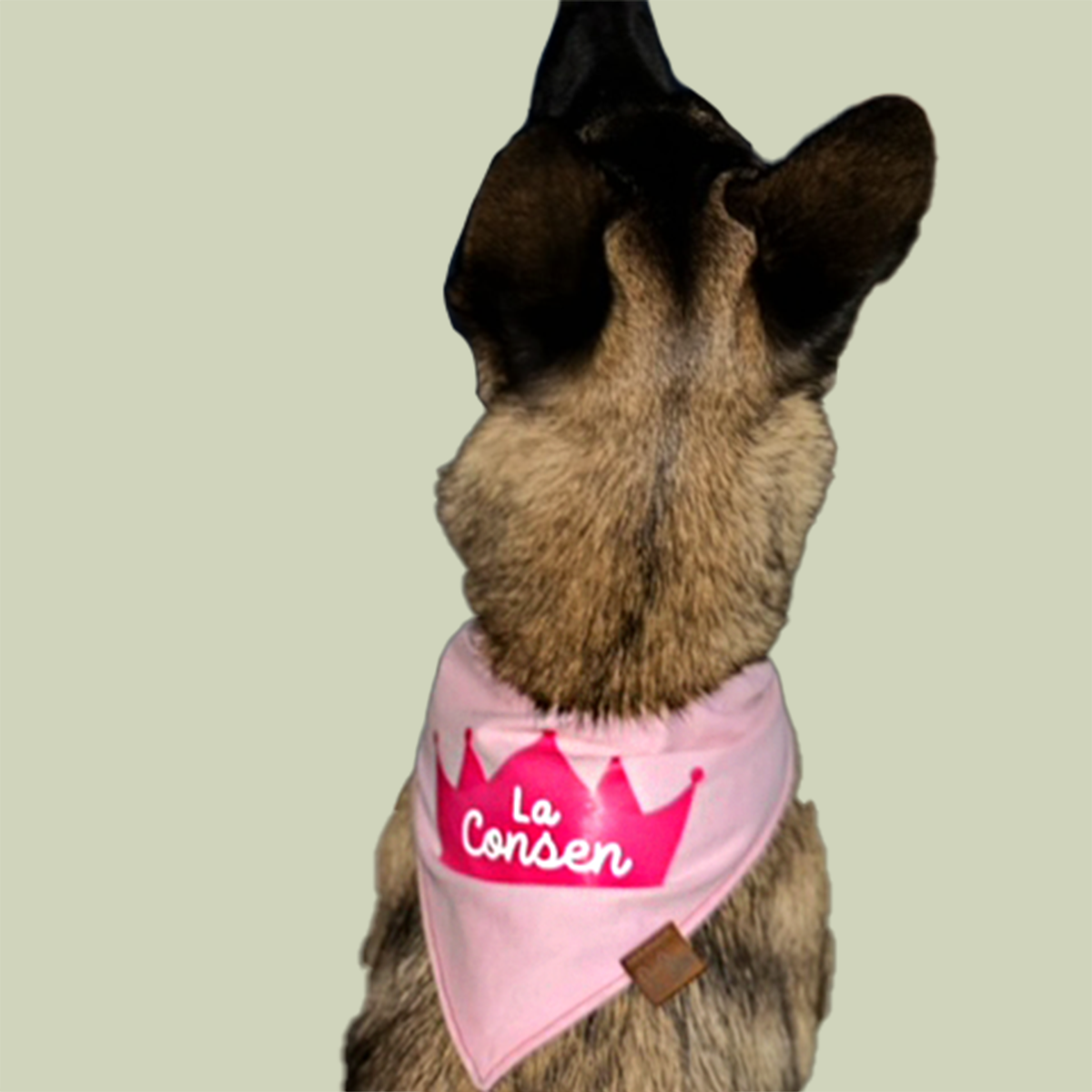 Pink Personalize Me Bandana