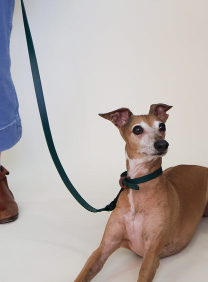 Hands-Free Acqua Leather Leash