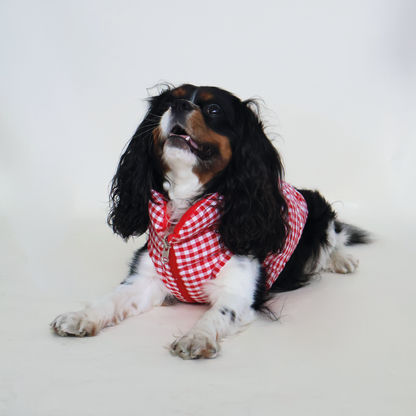 Perro King Cavalier con chaleco puffy color cuadros rojo reversible 