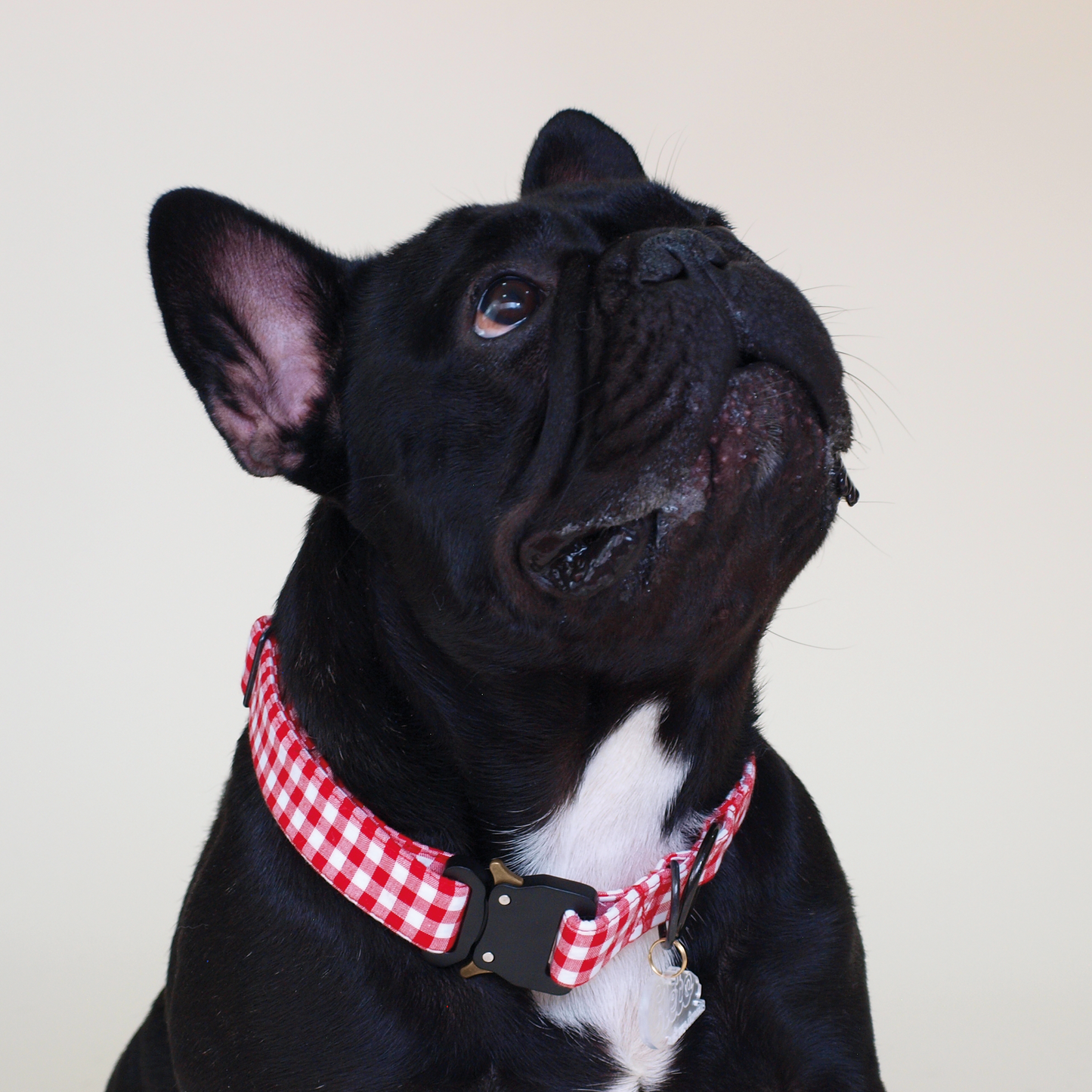 Red Square Collar