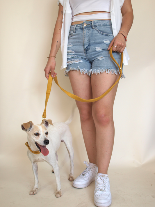 Perro blanco con collar color mostaza posando al lado de una mujer que tiene una correa mostaza también.