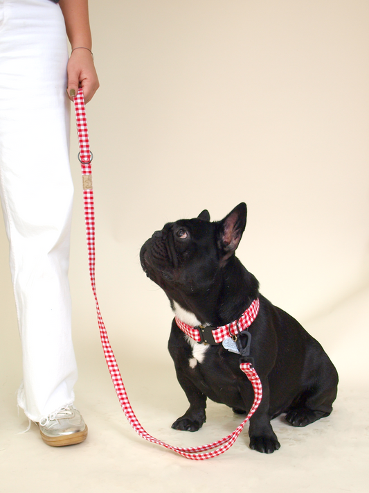 Red Square Leash