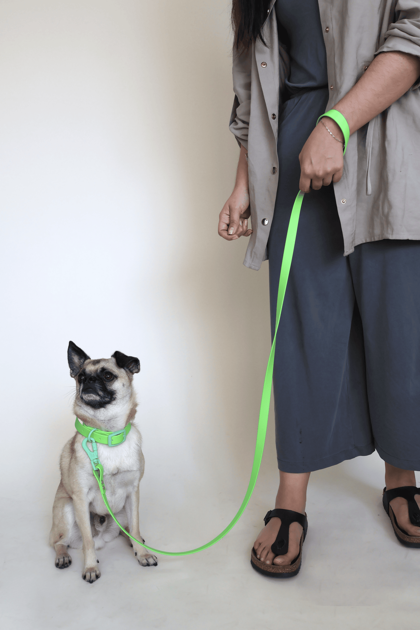 Green Envy Leash