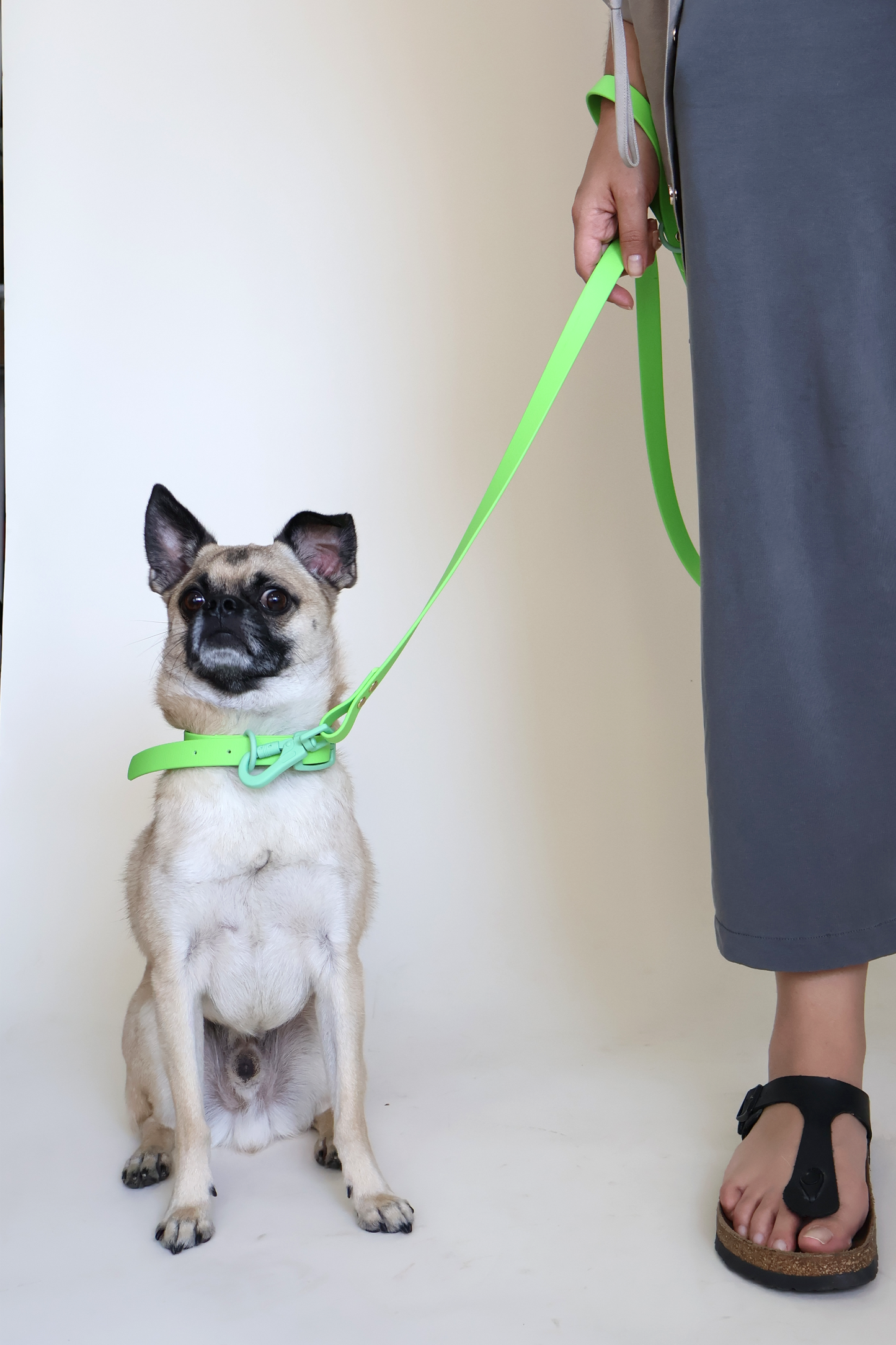 Green Envy Leash