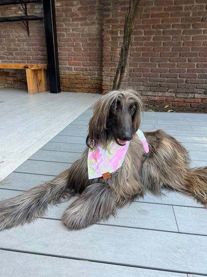 Pink Cargo Bandana