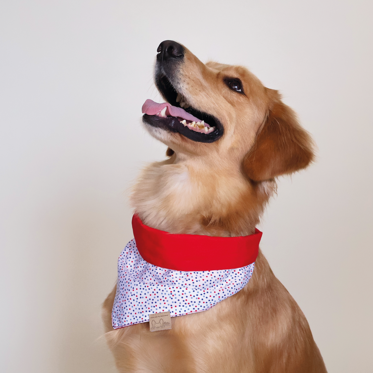 Navy Dots Bandana