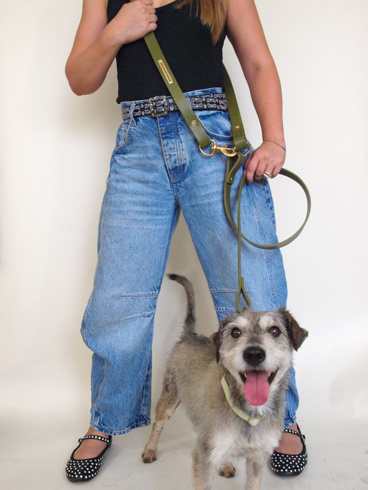 Hands-Free Cargo Leather Leash