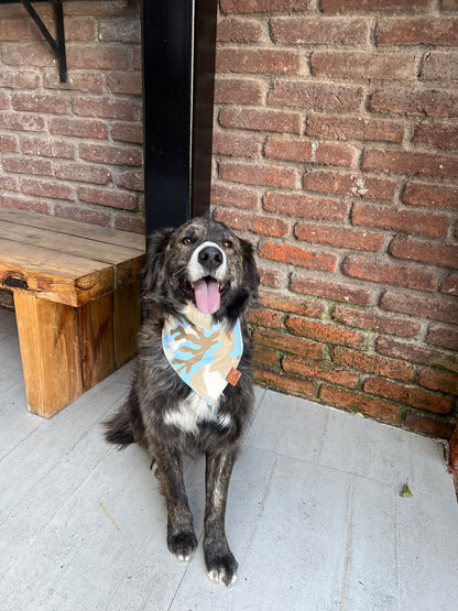 Blue Cargo Bandana