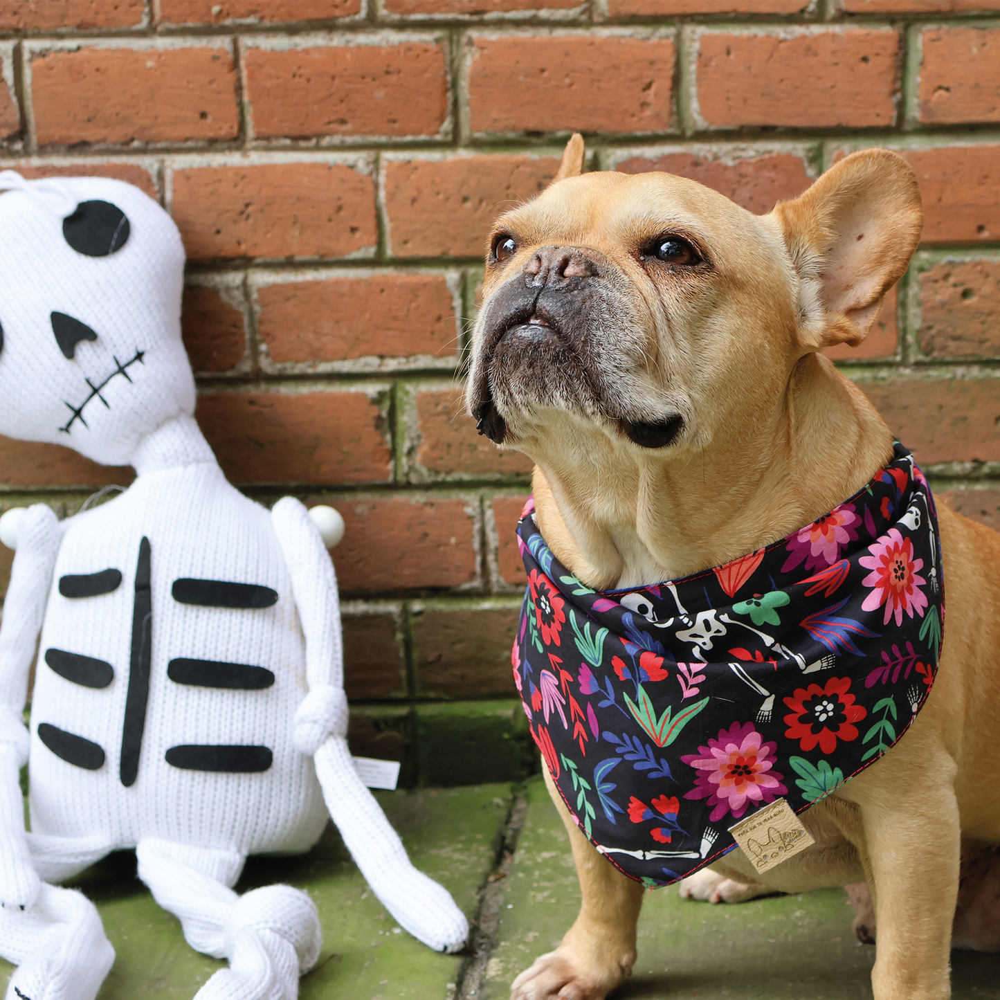 Día de muertos Bandana