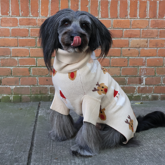 Foto de perrito mestizo gris usando un suéter navideño