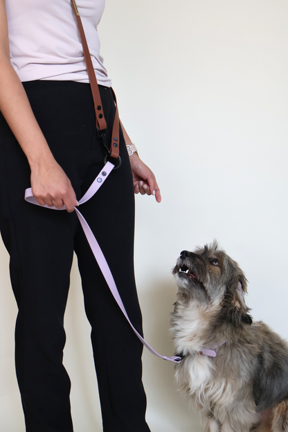 Hands-Free Acqua Leather Leash