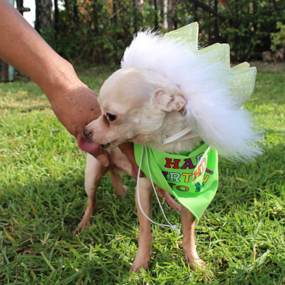 Green Birthday Party Crown