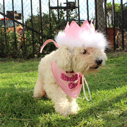 Pink Birthday Party Crown