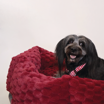 Cama roja y calientita para perros, ideal para mantener a tu mascota cómoda y abrigada durante el invierno