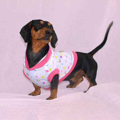 Perro salchica  con playera rosa