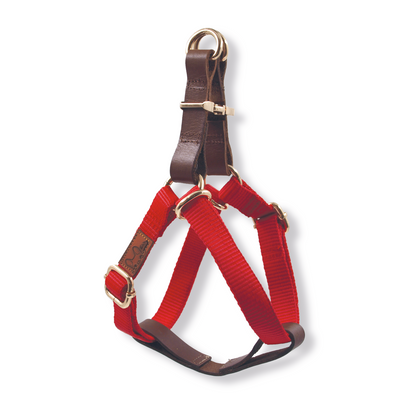 Red Harness