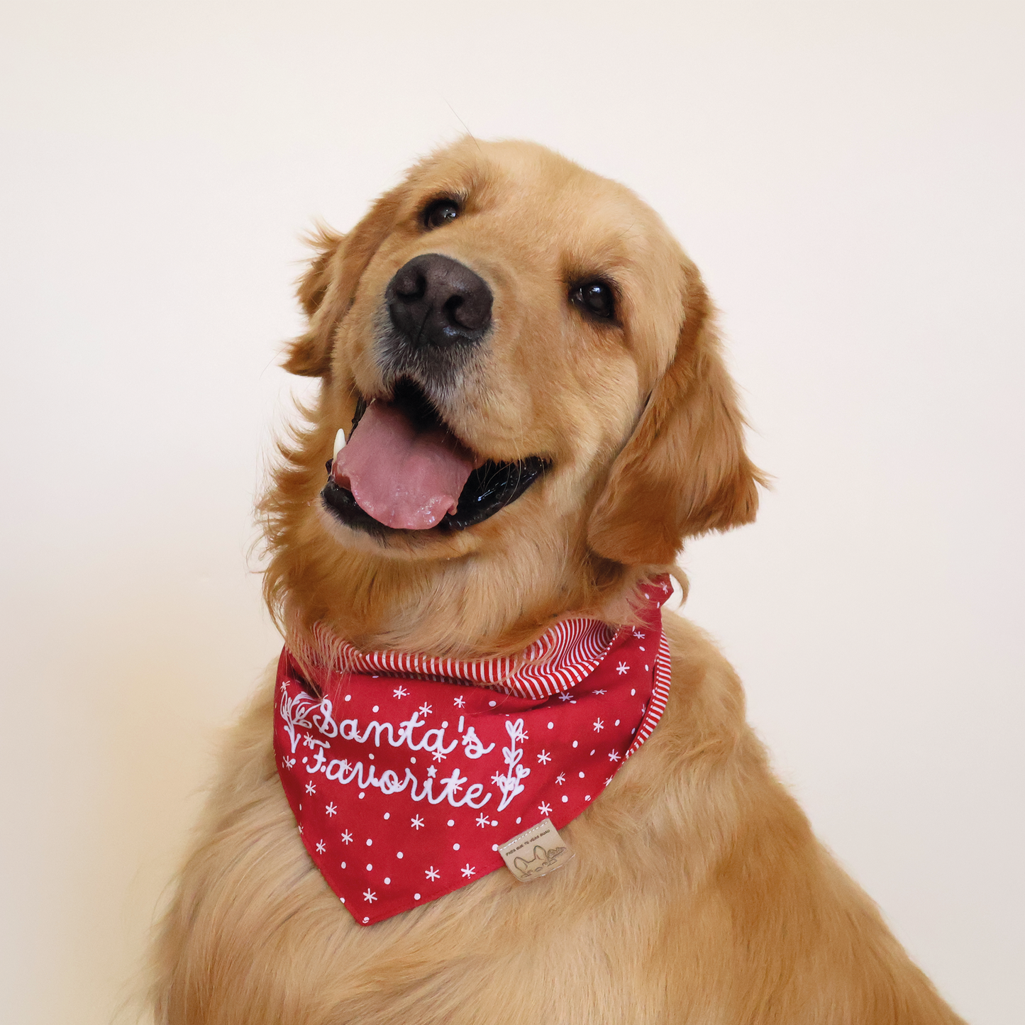 Bandana Santa's Favorite