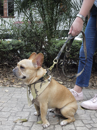 Leopard Party Leash